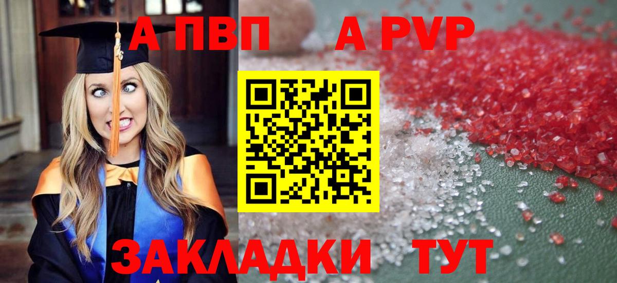 A PVP СК  Альфа ПВП  Кизилюрт  Вход с VPN  A PVP СК 