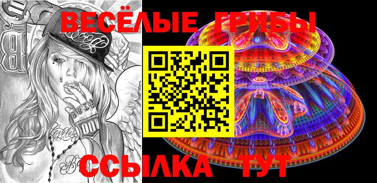 Кизилюрт  Галлюциногенные грибы Psilocybine cubensis  Вход с VPN 